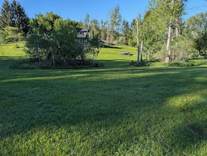 A grassy field with a house in the background surrounded by trees.