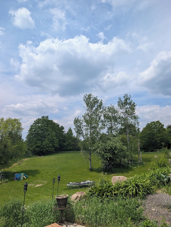 A grassy field with trees, a playground, and a picnic table.