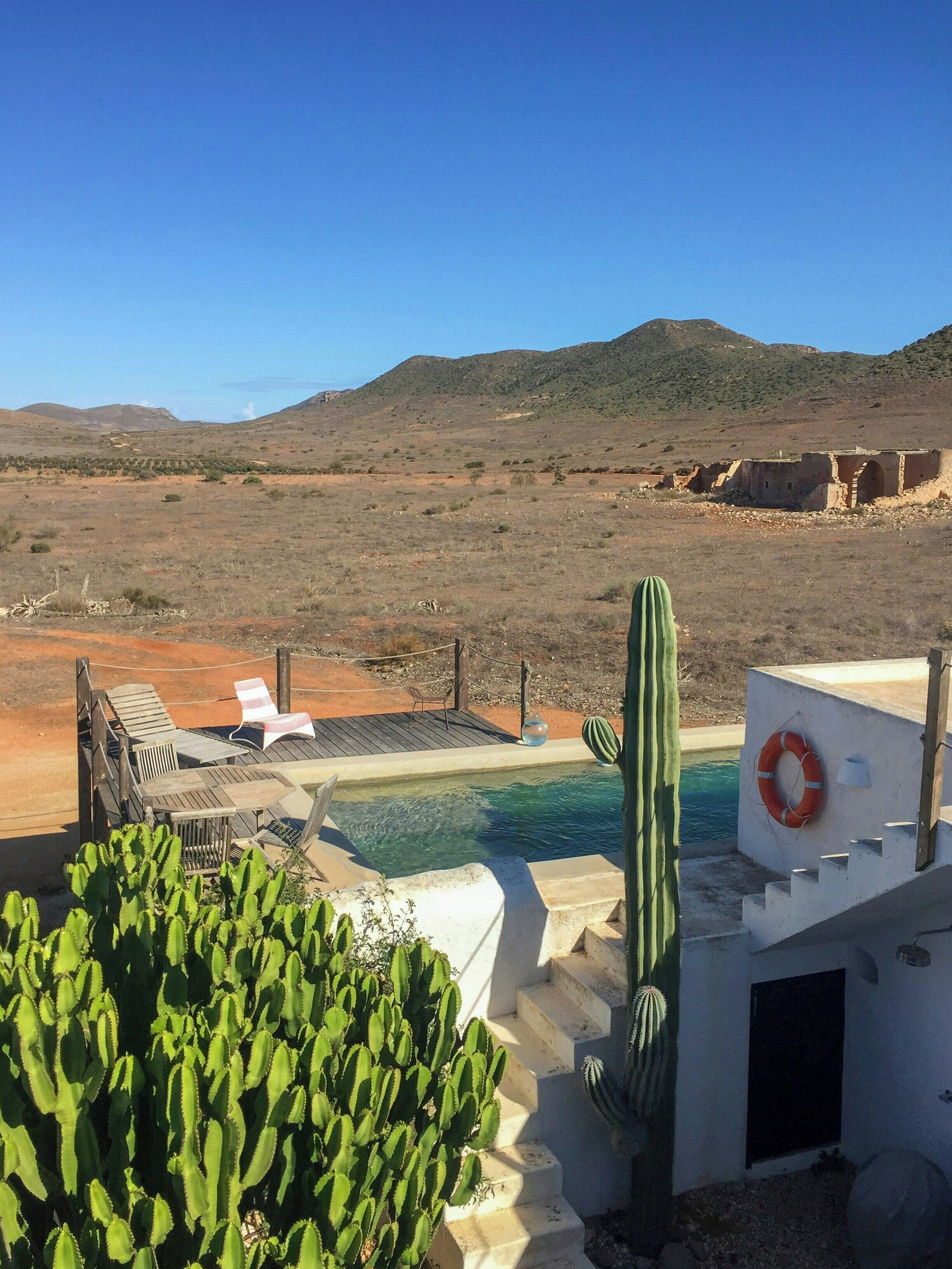 Un paysage désertique avec une piscine, des cactus et un cercle de sauvetage.