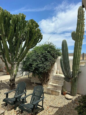 A garden with cacti and a bench. - Cortijo with eclectic décor near Almería (Albaricoques)