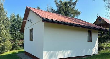 Komfortowy domek nad Soliną z widokiem. Taras, grill, zwierzęta mile widziane!