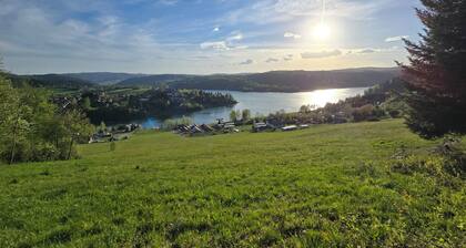 Komfortowy domek nad Soliną z widokiem. Taras, grill, zwierzęta mile widziane!