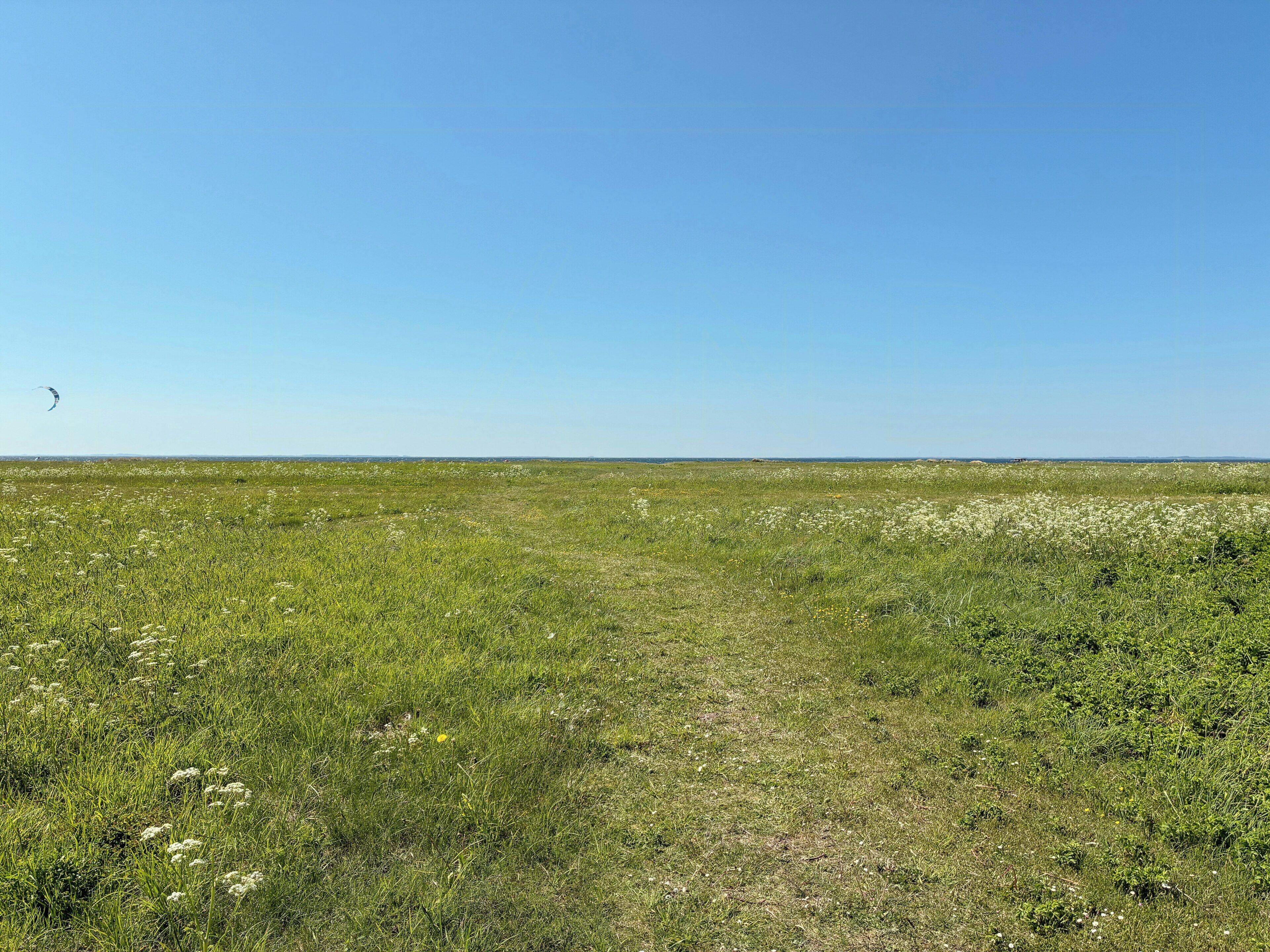 A vast open field with a clear sky.