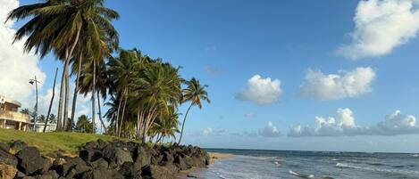Beach nearby, sun loungers, beach towels