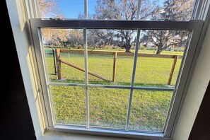 A window with a view of a grassy area, a wooden fence, and trees with Spanish moss. - Modern,Cozy Farm Cabin with Lake/Beach/dock access (Eustis)
