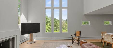 TV, fireplace, stereo, offices