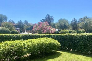 Ein gepflegter Garten mit ordentlich geschnittenen Hecken und verschiedenen Bäumen.