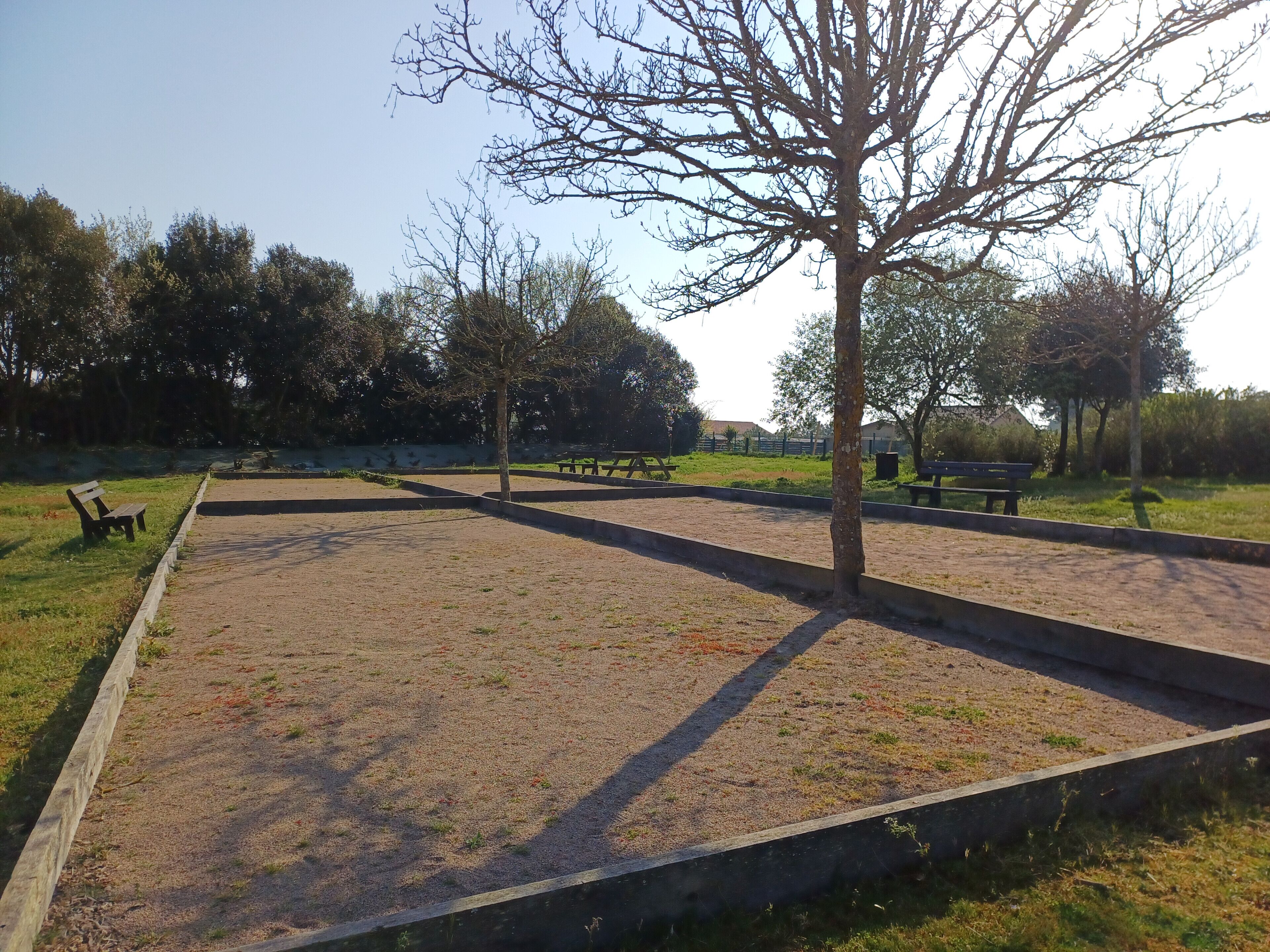 A park with a dirt field, benches, and trees.