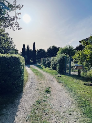 Ein Kiesweg führt durch einen Garten mit ordentlich geschnittenen Hecken und hohen Bäumen.