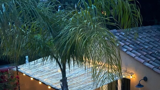 A patio with a palm tree, a table, two lounge chairs, and a house with a tiled roof and a door.