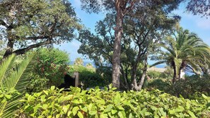 A lush garden with various trees and plants, a gate, and a view of the sea. - Villa Sainte Maxime, la Nartelle, 400 meters from the beach, sea view (Sainte-Maxime)