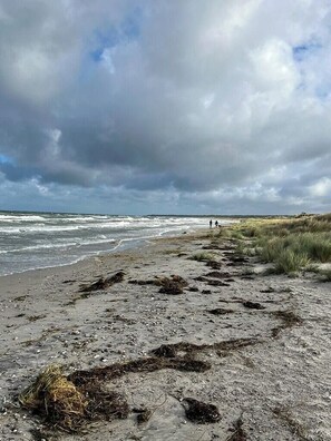 A beach with waves, seaweed, and a cloudy sky. - Authentic 70s summer house by Skærby Strand (Nykøbing Sj)
