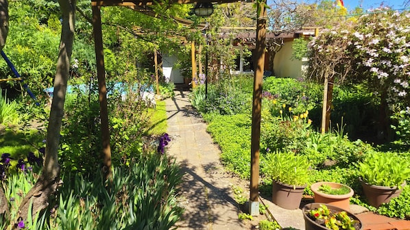 Un chemin de jardin bordé de plantes en pot et surmonté d’une pergola.