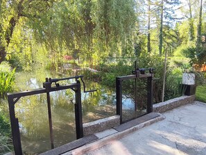 A tranquil garden with a pond, surrounded by lush greenery and a stone pathway.