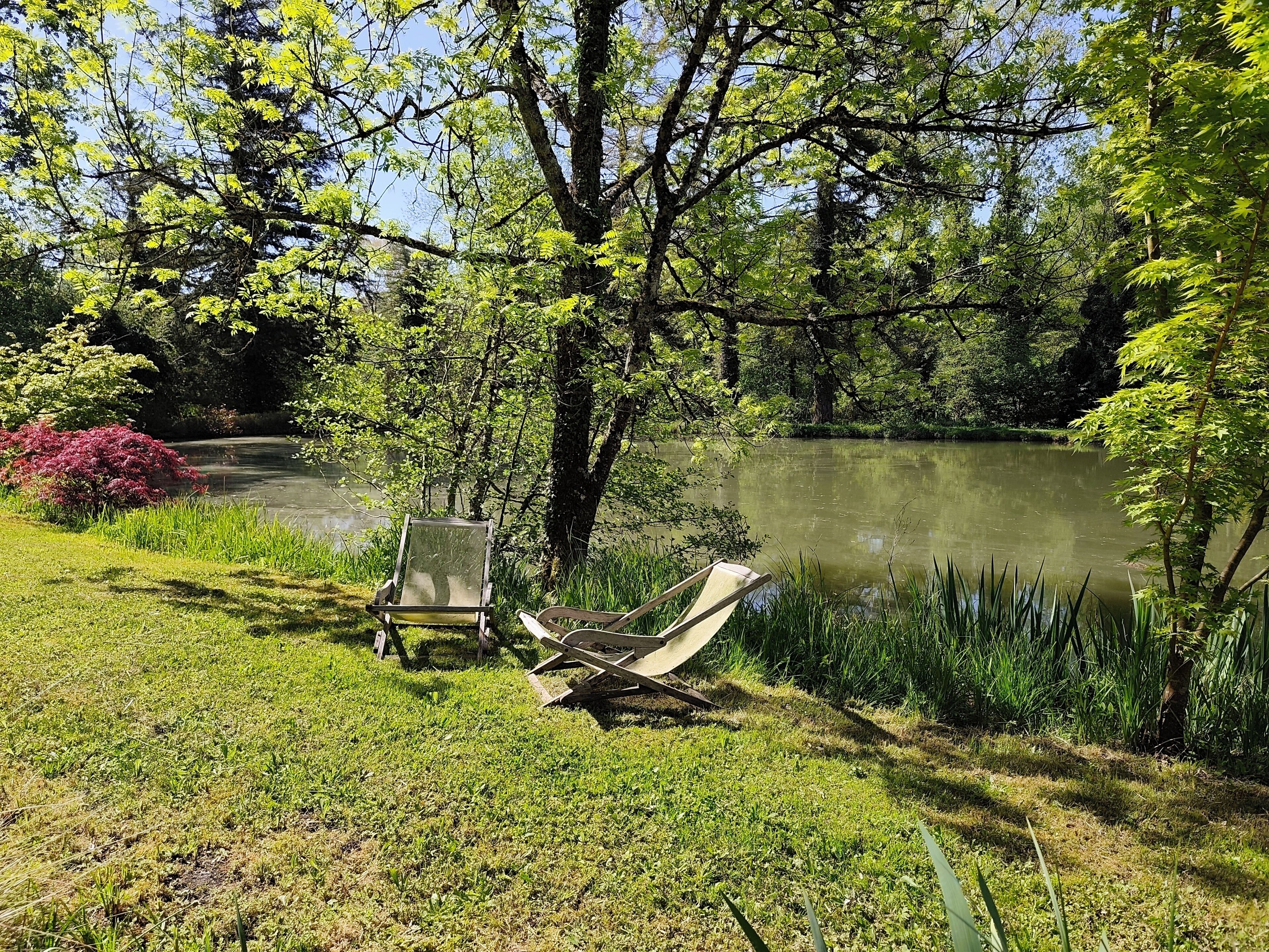 A serene lakeside setting with a hammock and a chair by the water.. Private pond! Upscale home in an exceptional natural setting