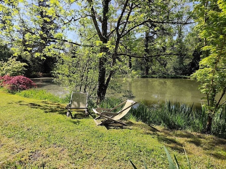 A serene lakeside setting with a hammock and a chair by the water.. Private pond! Upscale home in an exceptional natural setting