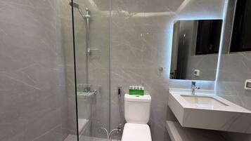 Apartment, 1 Bedroom, Accessible, Smoking | Bathroom