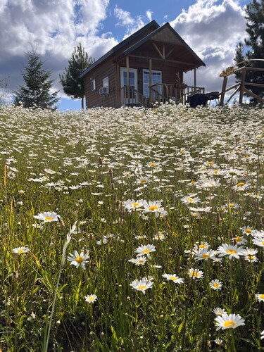 Cozy 2-bedroom cabin in peaceful Lenore with AC