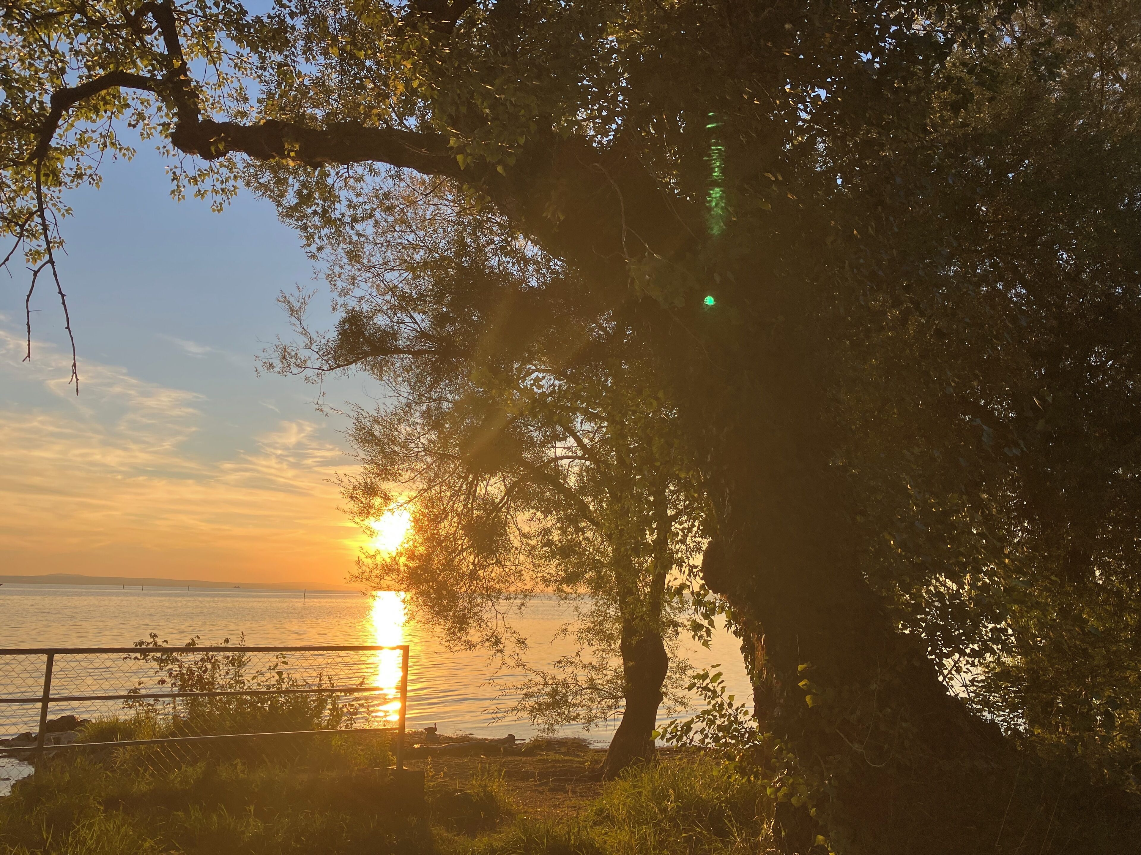Un coucher de soleil sur une étendue d’eau, avec des arbres encadrant le paysage.