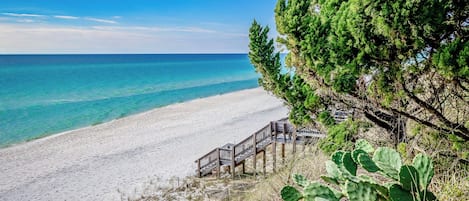 Playa en los alrededores