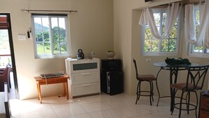 Une chambre dotée d’une kitchenette, d’un coin repas avec des chaises, d’un téléviseur fixé au mur et d’une fenêtre avec des rideaux.