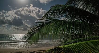 West Breeze