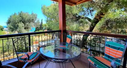 Large Sea View Villa Near Athens Airport