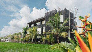 Un edificio moderno con techo plano, rodeado de abundante vegetación y un campo de arroz.