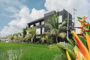 A modern building with a flat roof, surrounded by lush greenery and a rice field.