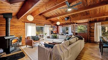Smart TV, fireplace, books, music library