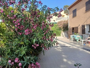 Terrace/patio - The Countryside by the Sea (Saint-Raphaël)