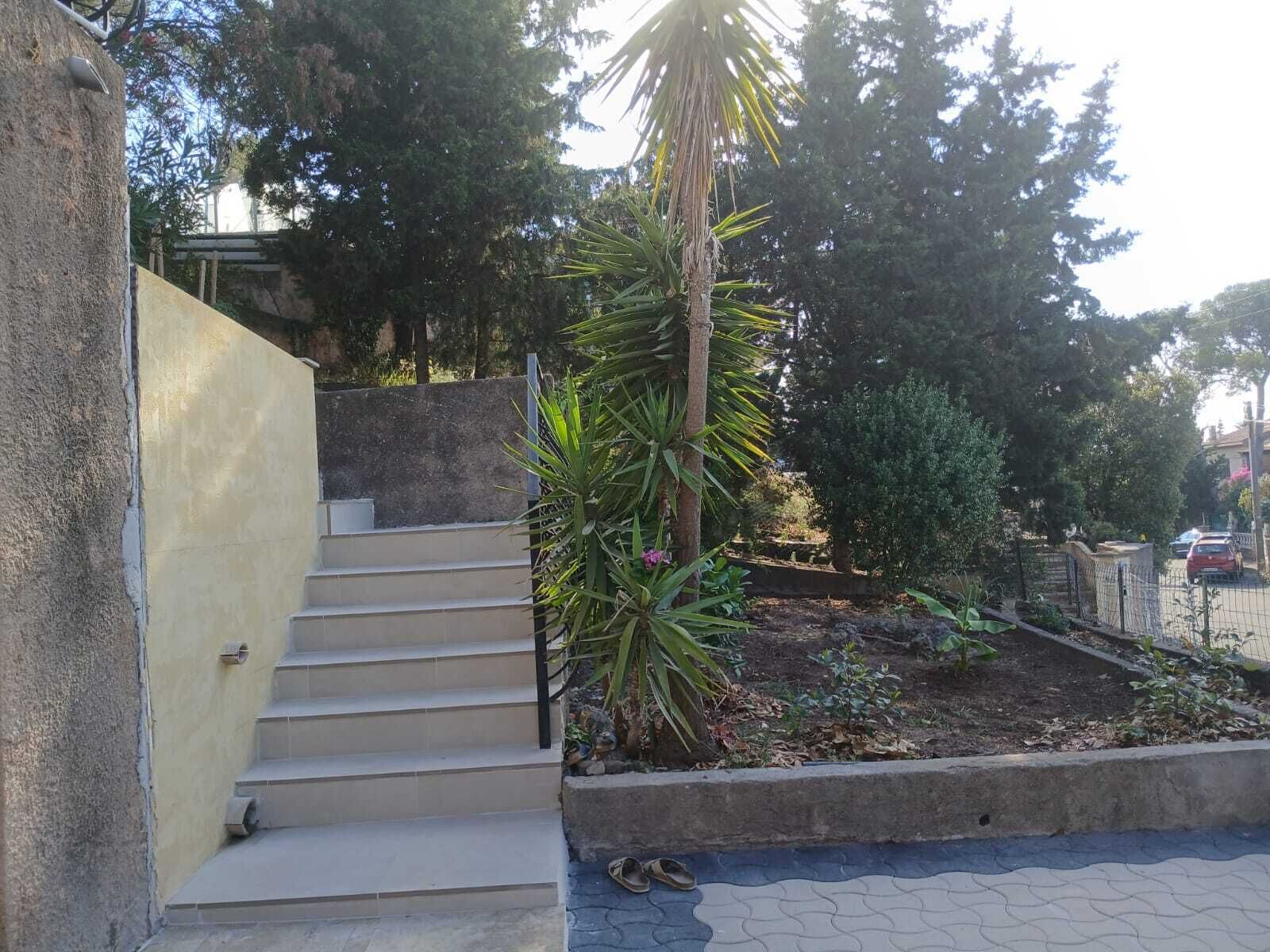 A concrete staircase leading to a garden area with a palm tree and a small plant.