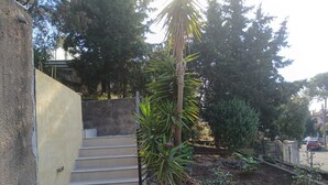 Eine Betontreppe führt zu einem Garten mit einer Palme und einer kleinen Pflanze.