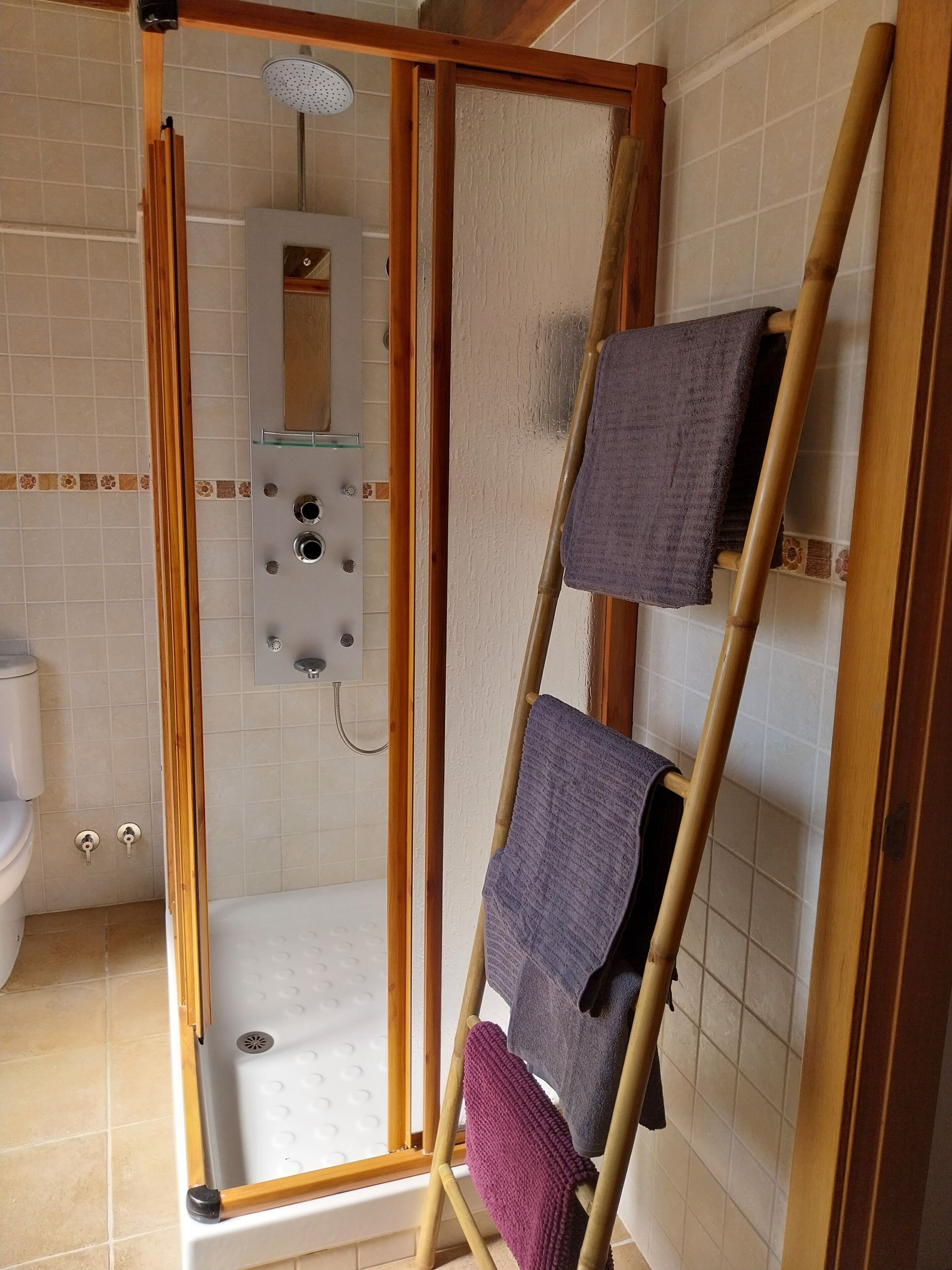 Et bruseområde med glasdør, en træstige og et håndklædestativ.