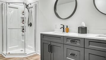 Shower, hair dryer, bidet, towels