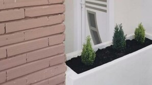 A white door with a unique design, a brick wall, a small black wall-mounted light, and a planter with small plants. - Welcoming 1-bedroom studio in Petroșani for a relaxing stay (Petroșani)