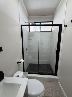 Une salle de bain compacte comprenant un espace douche, des toilettes et un lavabo.