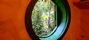 Une fenĂȘtre circulaire offrant une vue sur un paysage verdoyant et luxuriant.
