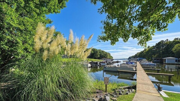 A dock leading to a marina with boats, a grassy area with tall grasses, and a clear blue sky. - Rockland Creek Retreat at LKA with Water Access (Bumpass)