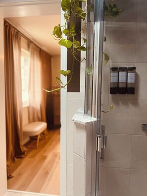 Casa de banho com chuveiro, uma planta e artigos de higiene pessoal na parede.