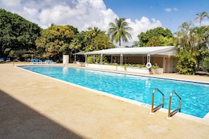 Une piscine dotée d’un espace couvert, de chaises longues et de palmiers en arrière-plan.