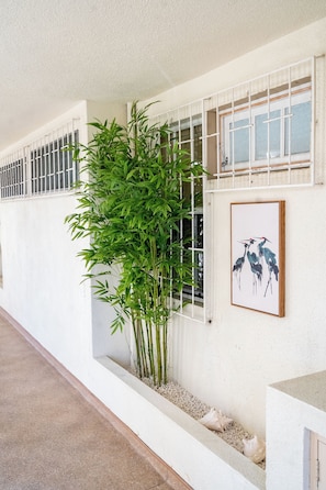 Un couloir avec un mur blanc, une plante en bambou, une œuvre d’art encadrée et une fenêtre avec des barreaux en métal.