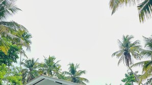 A single-story house with a covered porch, surrounded by lush greenery and palm trees. - Peaceful private villa just steps from the beach in Habaraduwa (Habaraduwa)