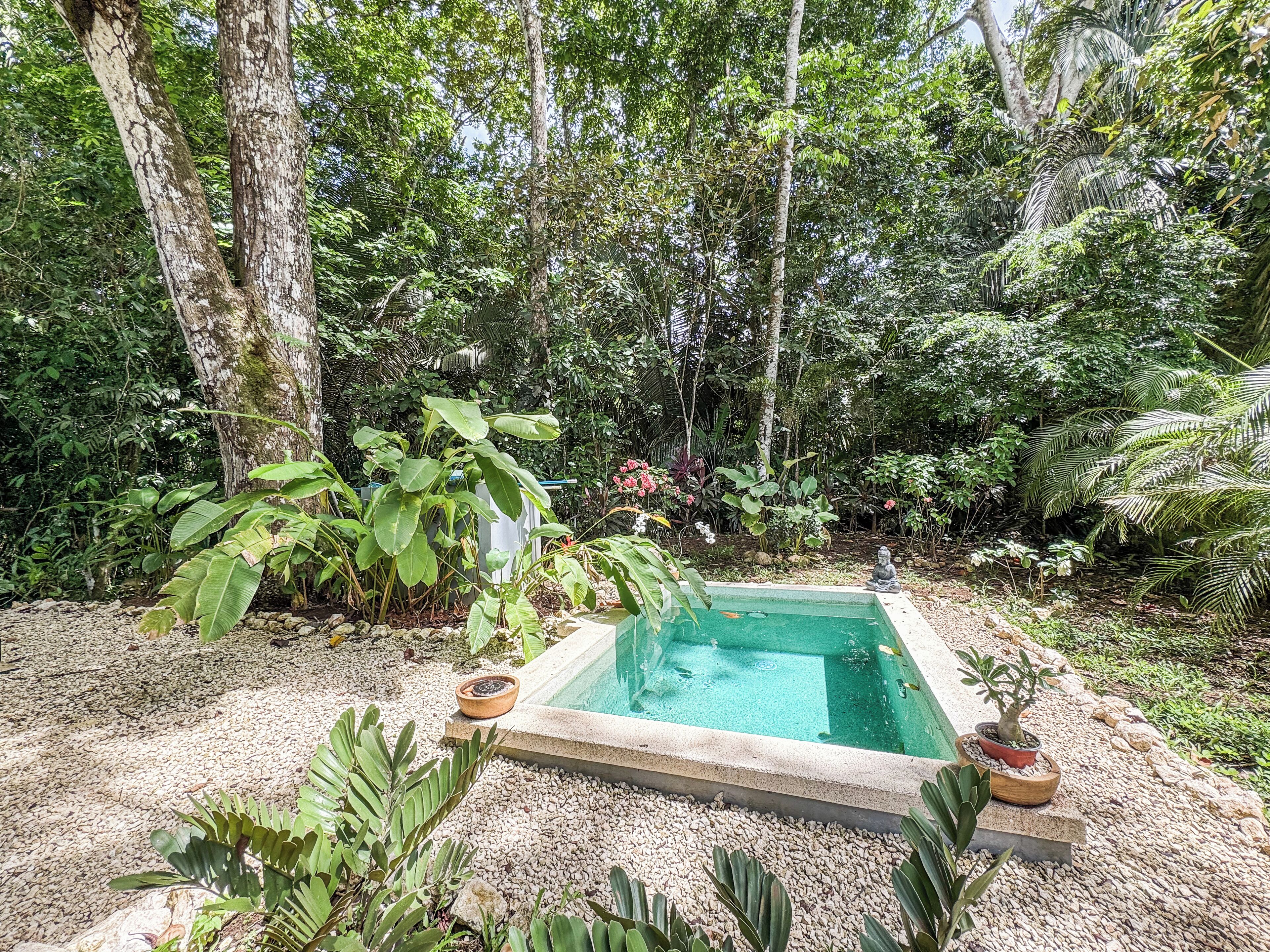 Una piscina rectangular rodeada de guijarros, con una estatua de Buda y plantas en macetas cerca.