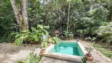 Una piscina rectangular rodeada de guijarros, con una estatua de Buda y plantas en macetas cerca.