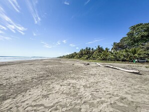 Una playa con cielo despejado, orilla de arena y una hilera de palmeras.
