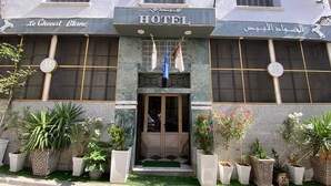 A hotel facade with a sign reading 'HOTEL,' a large entrance, and potted plants in front.