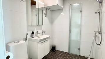 Hair dryer, towels, soap, toilet paper