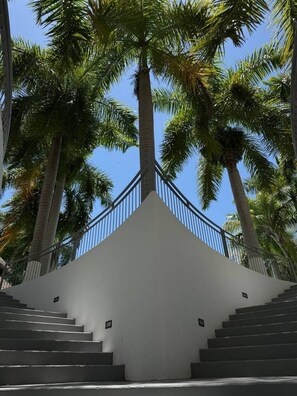 A staircase leading up to a white building with a metal railing, surrounded by palm trees. - Costa Veleros, Atardeceres Únicos by GPS (Mazatlán)