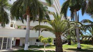 Un bâtiment à la façade blanche, bordé de palmiers et agrémenté d’un petit arbre planté dans un pot.